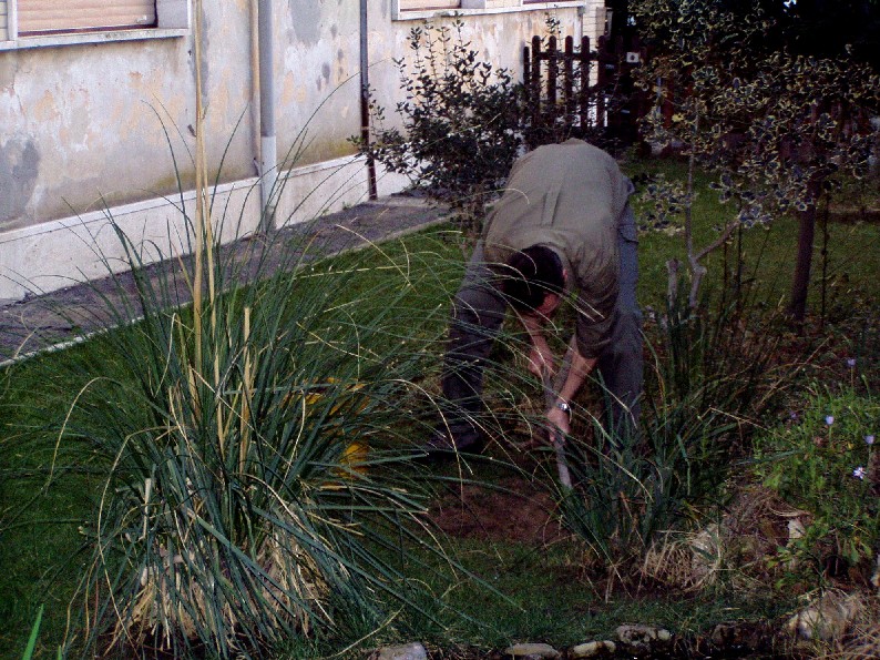 Il Laghetto del Centro di Entomologia - Piombino (LI)